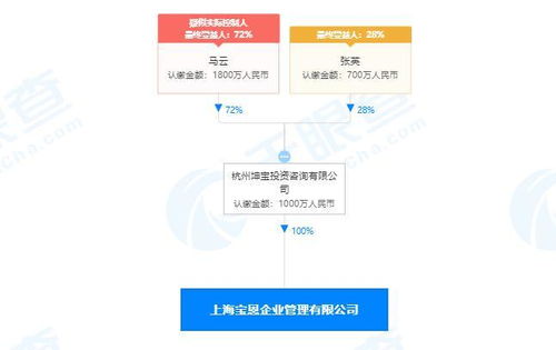 上海軟件開發的現狀、機遇與未來展望