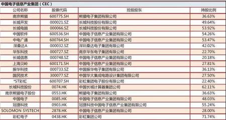中國電子資產證券化率邁向80% 掘金機遇，聚焦上海軟件開發概念股